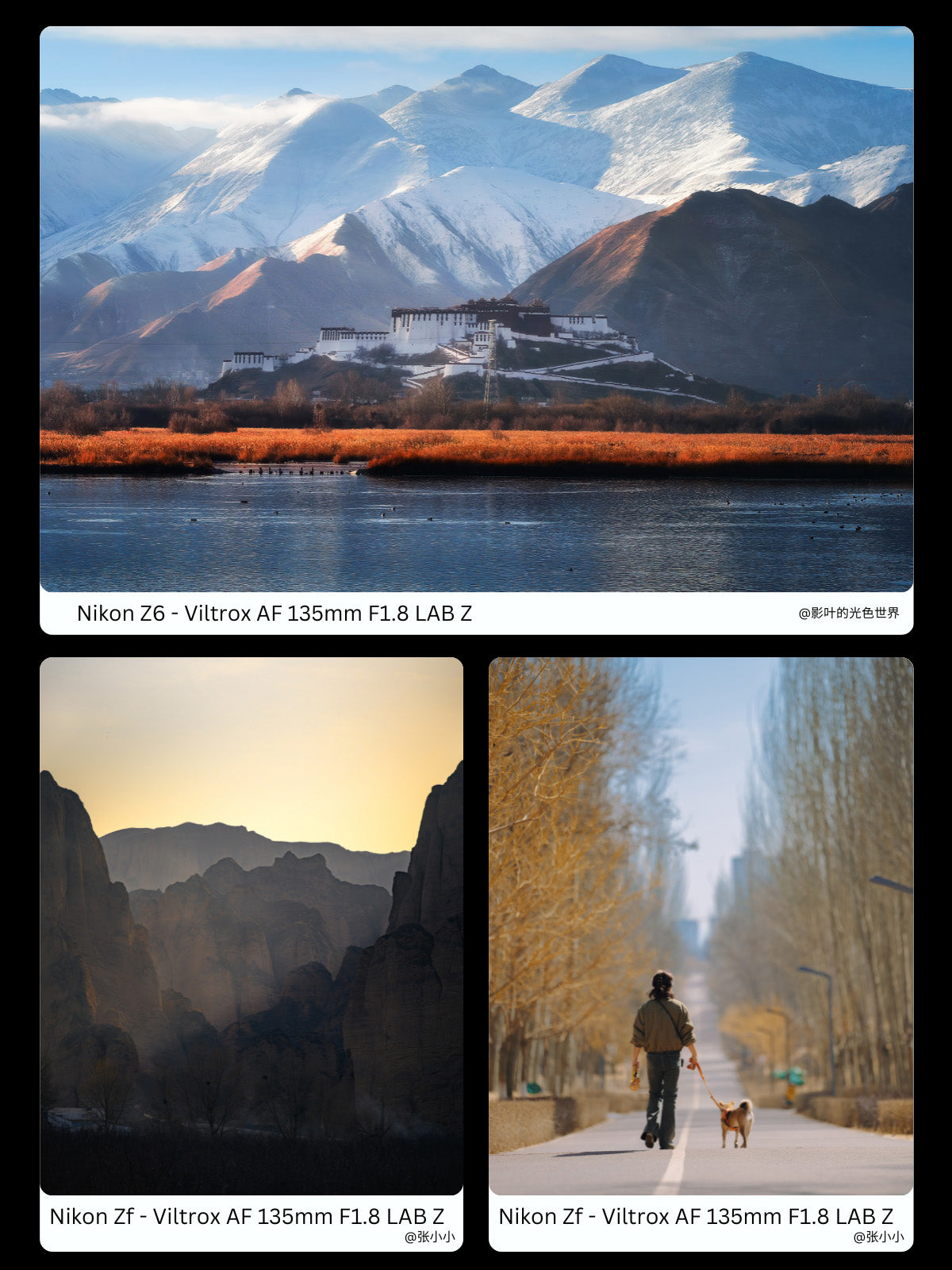 Lens for professional photography
