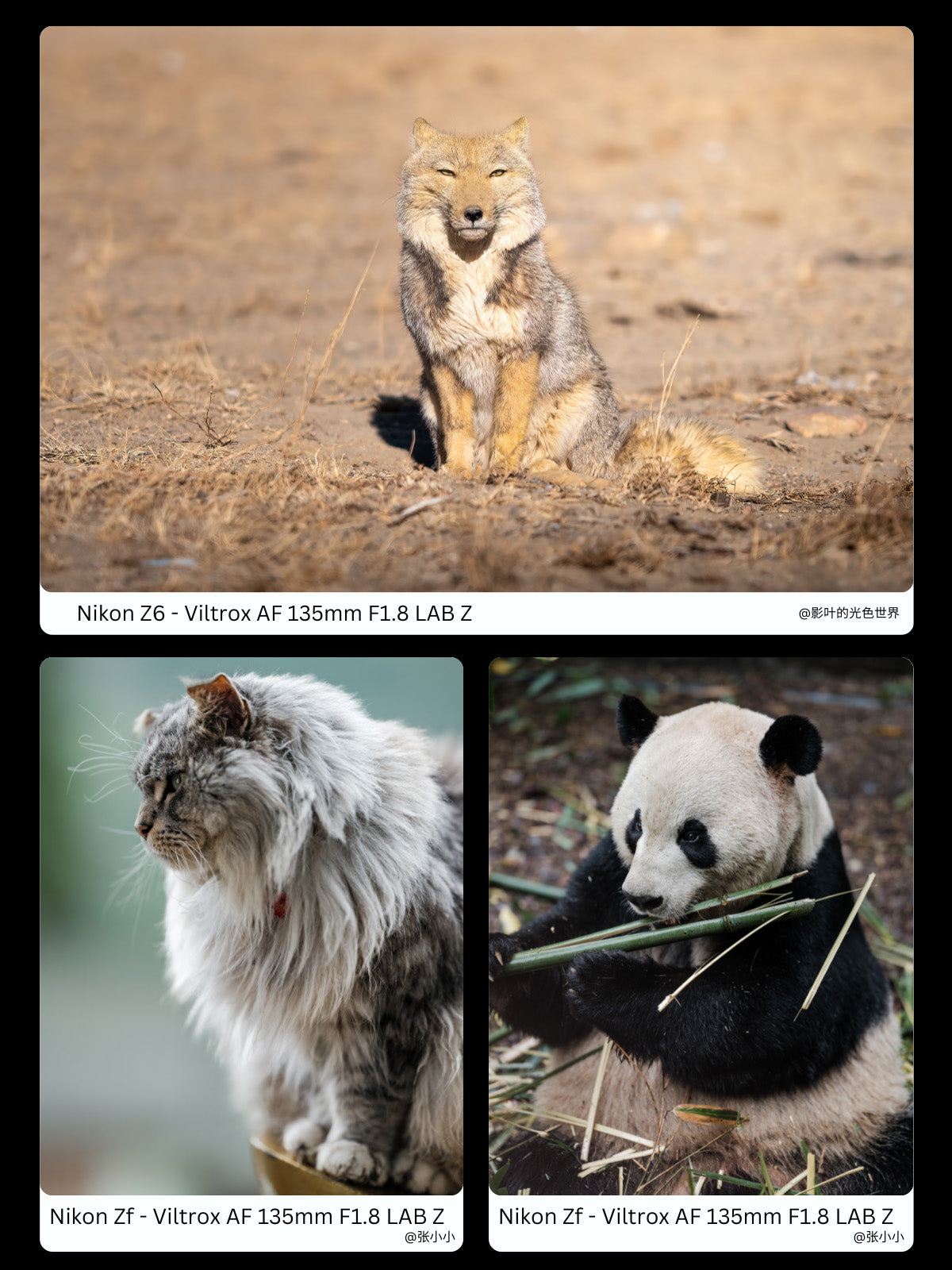 Advanced autofocus lens for Sony