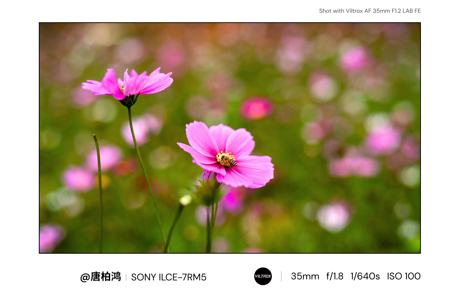 AF 35mm F1.2 Ultra-sharp close-up photography