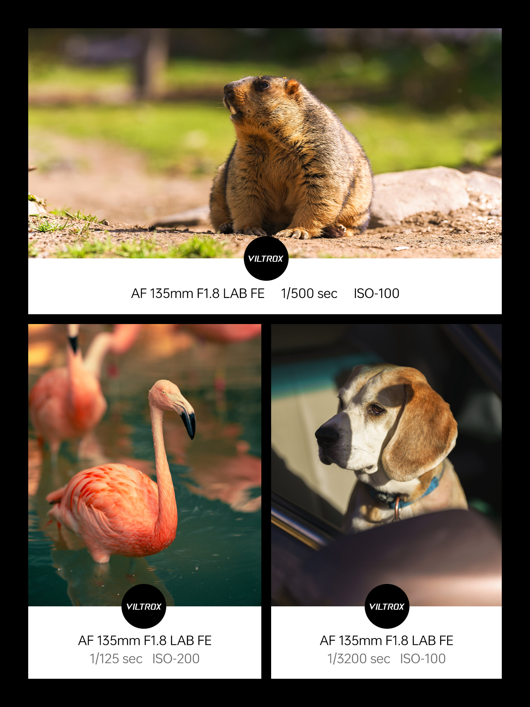 Advanced autofocus lens for Sony