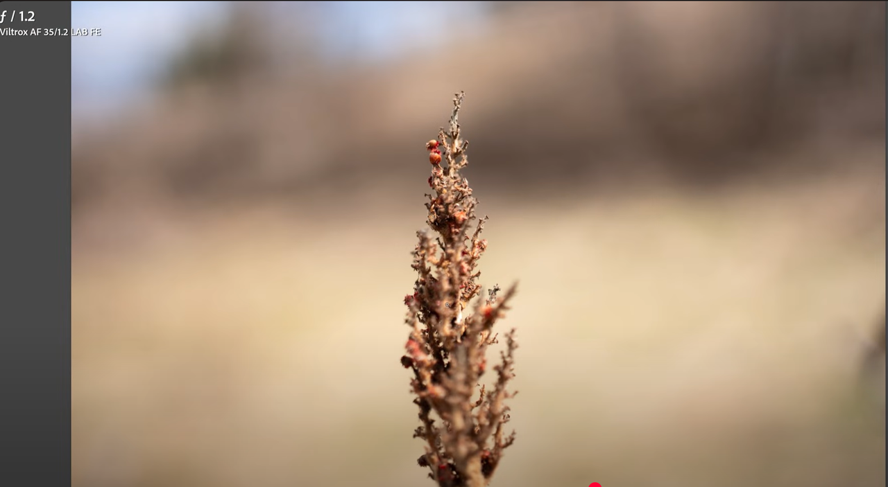 large-aperture 35mm lens